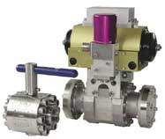 MS Series Ball Valves